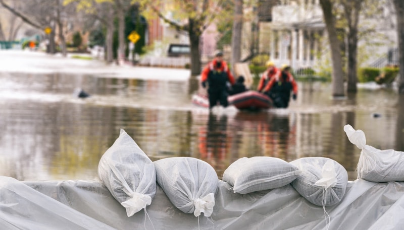 Disaster Support Services